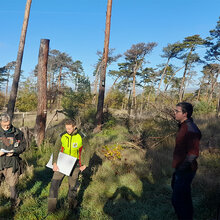 Studierende stehen bei sonnigen Wetter im Wald. Forstamtsleiter Wolfgang Vogt, Revierleiter Stefan Dorschel und Ranger Fabian Emde erläutern den Master-Studierenden der HFR den Lebensraumtyp der Sarmatischen Steppenkiefernwälder und die Maßnahmen zu dessen Wiederherstellung.