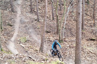 Mountainbiker fährt auf einem Trail 