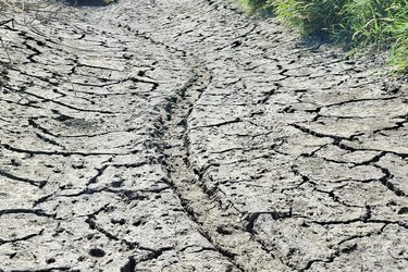 Nahaufnahme eines ausgetrockneten Flusses mit tiefen Rissen