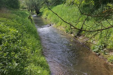 Blick auf die Ammer