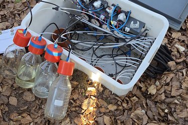 Messgerät auf dem Waldboden