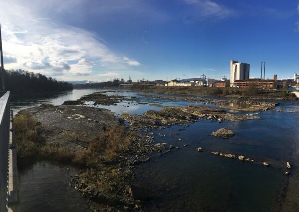 Die Gwildfläche unterhalb des Kraftwerks Rheinfelden