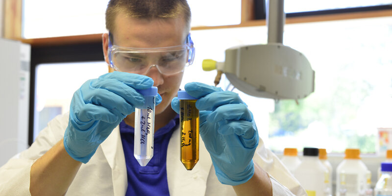 Student untersucht zwei Proben im Labor der Hochschule Rottenburg