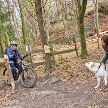  Konfliktsituation an der Himmelsleiter mit einem Moutainbikefahrer und einer Hundebesitzerin