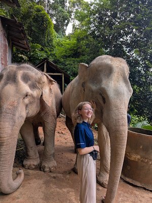 as nachhaltige Elephant Sanctuary von Eco Khaolak Adventure