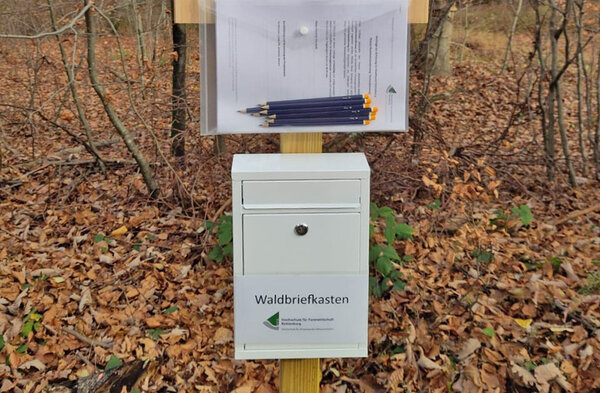 ein im Wald aufgestellter Briefkasten mit Fragebögen, Bleistiften und Infotafel