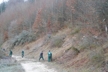 Arbeiter entfernen Baumbewuchs an einer Wegböschung