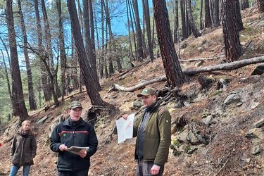 Referenten stehen im Wald und zeigen ein Schaubild