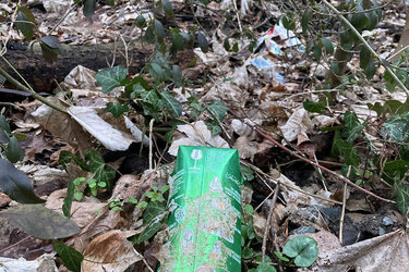 Weggeschmissener Fruchtsaftbehälter liegt auf dem Waldboden