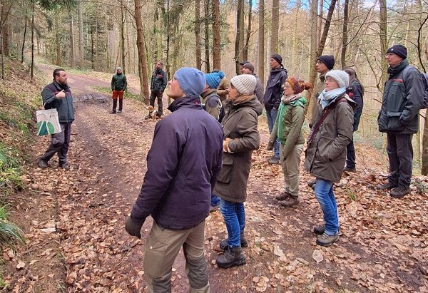 Die Teilnehmer stehen im Wald und hören dem Referenten zu