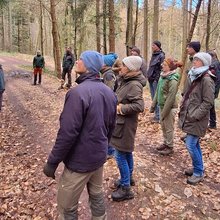 Die Teilnehmer stehen im Wald und hören dem Referenten zu