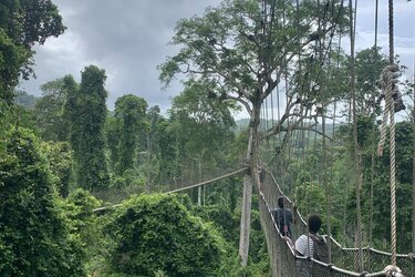 Schmale und einfache Fußgängerhängebrücke in einem Baumkronenpfad im Kakum National Park