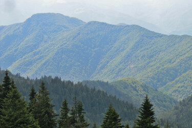 Blick auf bewaldete Täler und Berge in den Karpaten