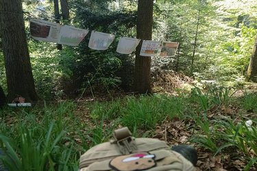 An einer im Wald gespannten Schnurr hängen Informationen wie zum Beispiel Diagramme