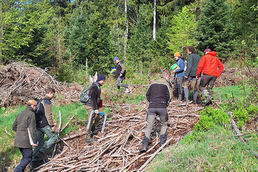 Studierende laufen eine steile Freifläche im Wald hoch