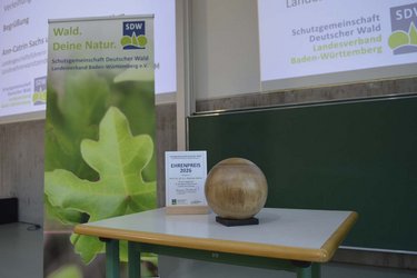 Der Ehrenpreis 2026 der SDW BW: Die Kugel aus Nussbaum-Maserholz stammt von Künstler Peter Wagensonner. (Foto: SDW BW)