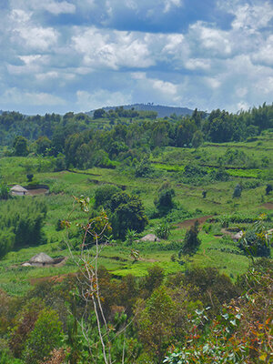 Kleinbäuerliche Landwirtschaft in Burundi