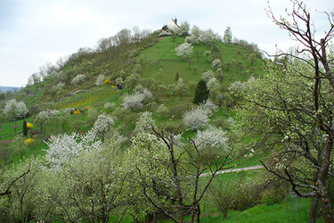 Blick auf die Wurmlinger Kapelle