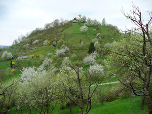 Blick auf die Wurmlinger Kapelle