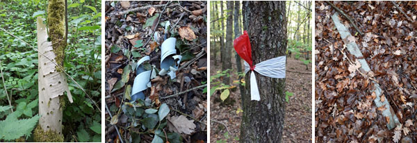 Bildermosaik: unterschiedliche Plastikreste im Wald