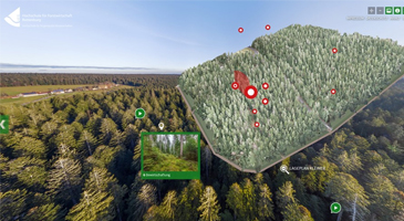 Screenshot der webbasierten Plattform: igitale Walderkundungen in Sereo3D-VR-360°