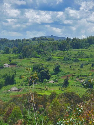 Landschaftsfoto mit kleinbäuerlichen Landwirtschaft in Burundi